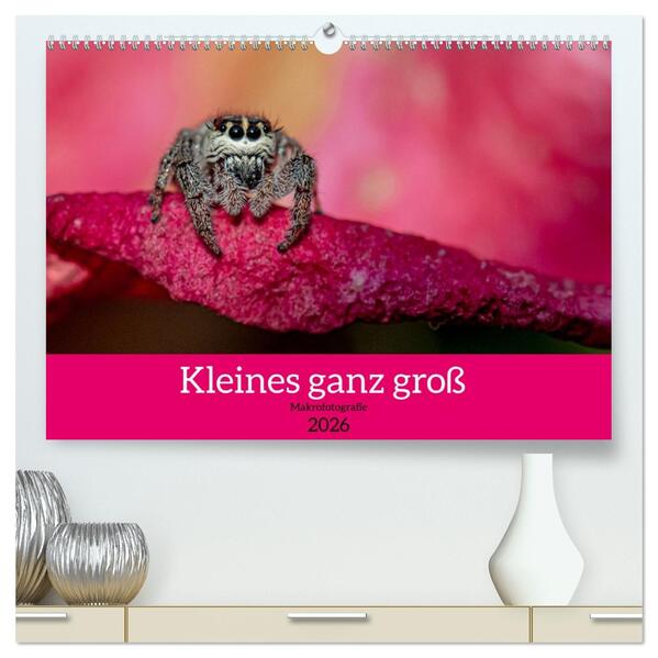Kleines ganz groß - Makrofotografie (hochwertiger Premium Wandkalender 2026 DIN A2 quer) Kunstdruck in Hochglanz