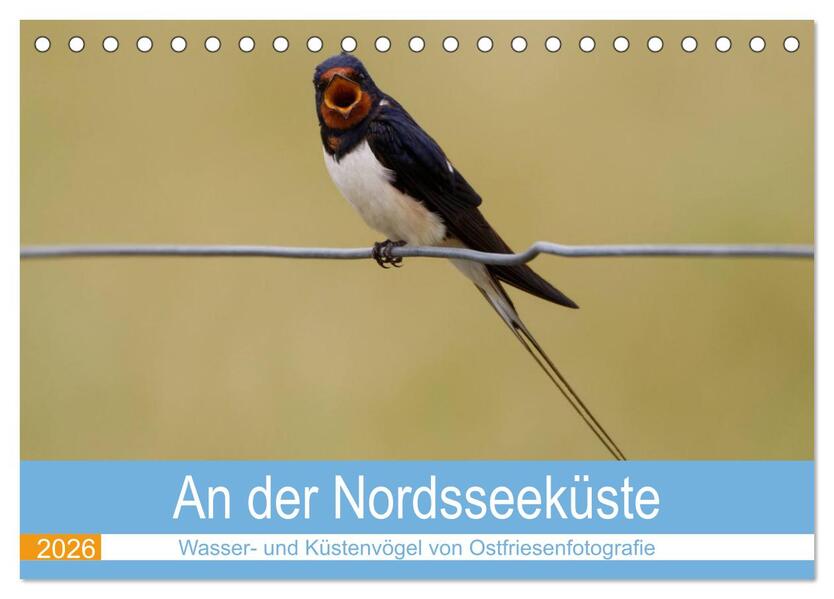 An der Nordseeküste - Wasser- und Küstenvögel fotografiert von Ostfriesenfotografie (Tischkalender 2026 DIN A5 quer) CALVENDO Monatskalender