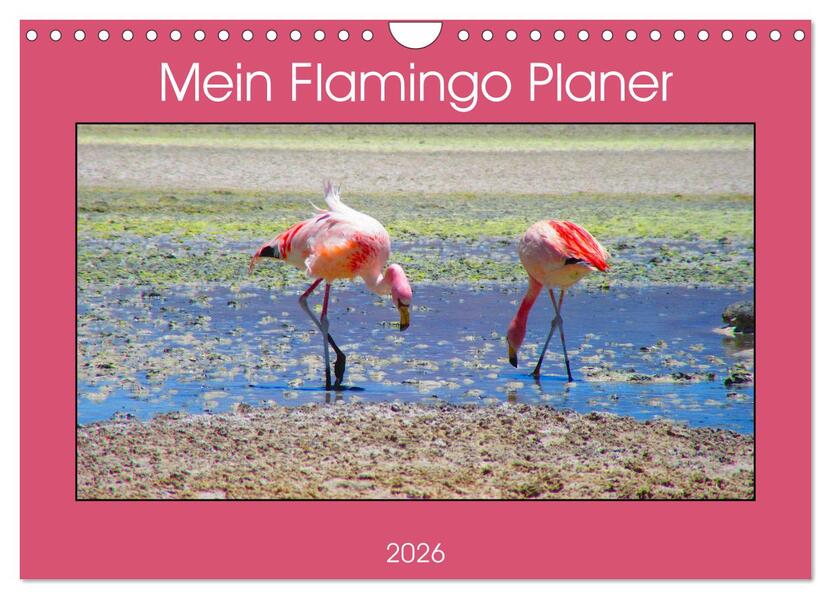 Mein Flamingo Planer (Wandkalender 2026 DIN A4 quer) CALVENDO Monatskalender