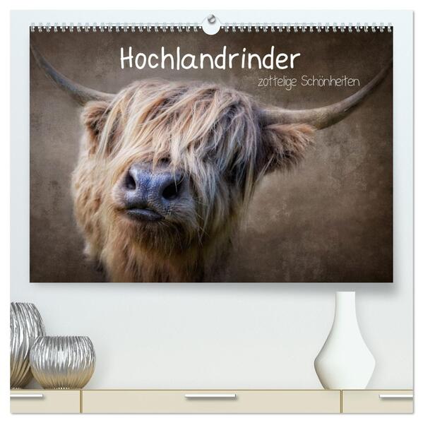 Hochlandrinder - Zottelige Schönheiten (hochwertiger Premium Wandkalender 2026 DIN A2 quer) Kunstdruck in Hochglanz