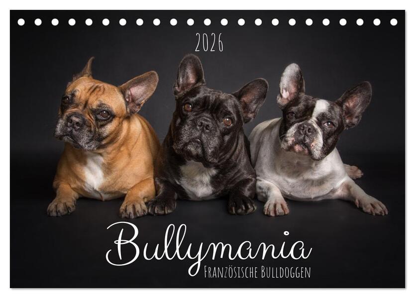 Bullymania - Französische Bulldoggen (Tischkalender 2026 DIN A5 quer) CALVENDO Monatskalender