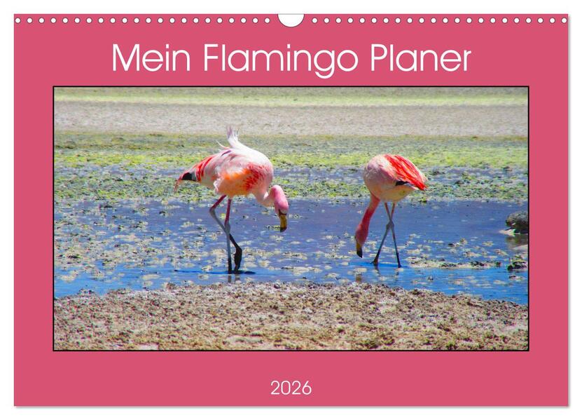 Mein Flamingo Planer (Wandkalender 2026 DIN A3 quer) CALVENDO Monatskalender