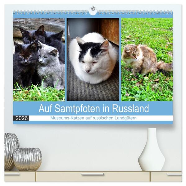 Auf Samtpfoten in Russland - Museums-Katzen auf russischen Landgütern (hochwertiger Premium Wandkalender 2026 DIN A2 quer) Kunstdruck in Hochglanz