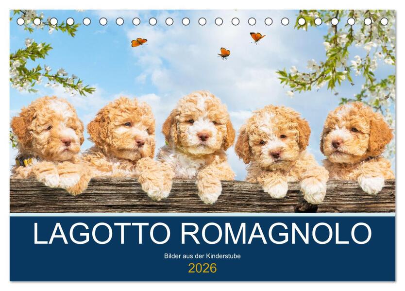 Lagotto Romagnolo - Bilder aus der Kinderstube (Tischkalender 2026 DIN A5 quer) CALVENDO Monatskalender