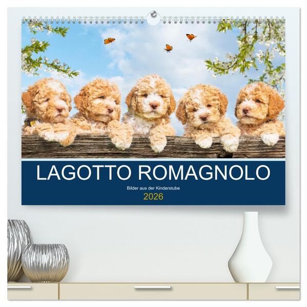 Lagotto Romagnolo - Bilder aus der Kinderstube (hochwertiger Premium Wandkalender 2026 DIN A2 quer) Kunstdruck in Hochglanz