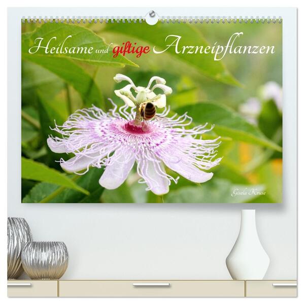 Heilsame und giftige Arzneipflanzen (hochwertiger Premium Wandkalender 2026 DIN A2 quer) Kunstdruck in Hochglanz