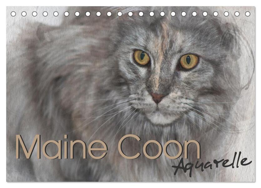 Maine Coon Aquarelle (Tischkalender 2026 DIN A5 quer) CALVENDO Monatskalender