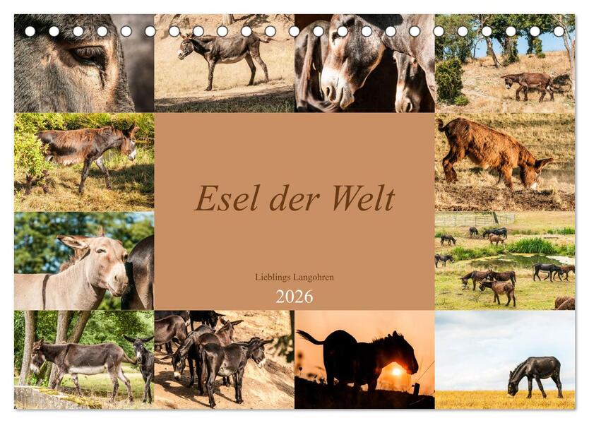 Esel der Welt - Lieblings Langohren (Tischkalender 2026 DIN A5 quer) CALVENDO Monatskalender