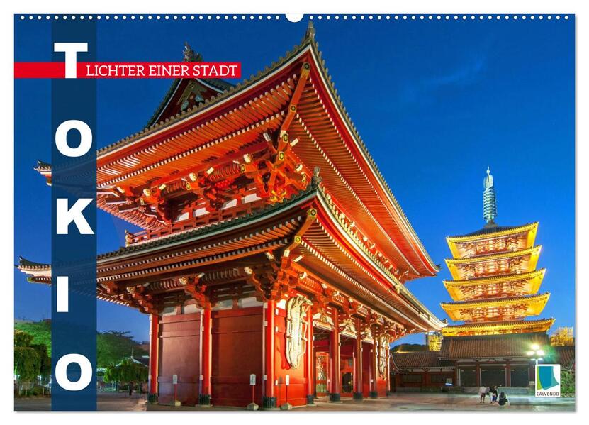 Tokio: Lichter einer Stadt (Wandkalender 2026 DIN A2 quer) CALVENDO Monatskalender