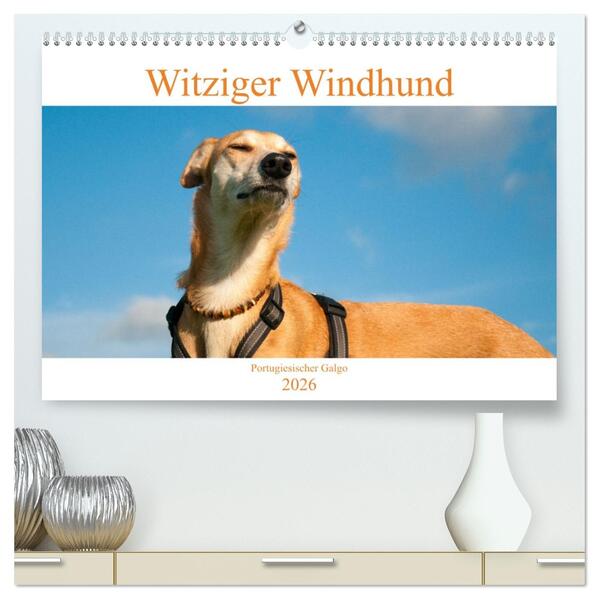 Witziger Windhund - Portugiesischer Galgo (hochwertiger Premium Wandkalender 2026 DIN A2 quer) Kunstdruck in Hochglanz