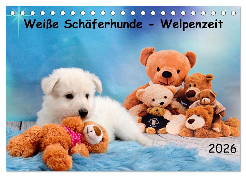 Weiße Schäferhunde - Welpenzeit (Tischkalender 2026 DIN A5 quer) CALVENDO Monatskalender