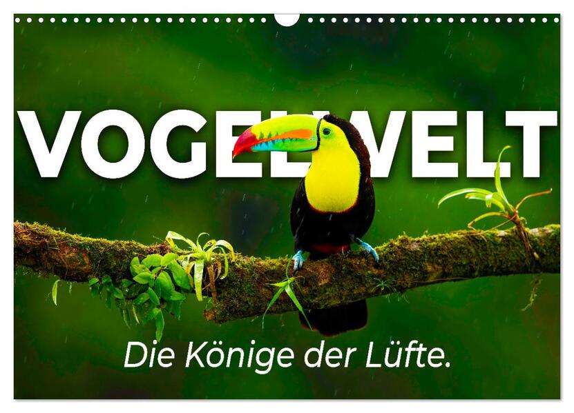 Vogelwelt - Die Könige der Lüfte. (Wandkalender 2026 DIN A3 quer) CALVENDO Monatskalender