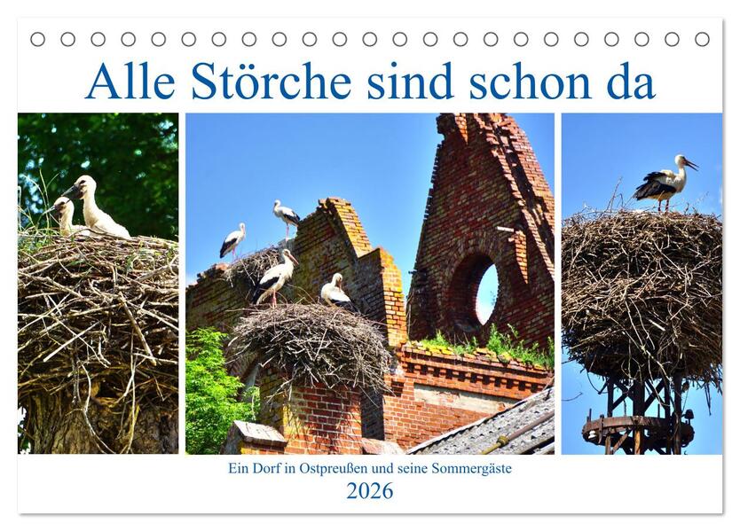 Alle Störche sind schon da - Ein Dorf in Ostpreußen und seine Sommergäste (Tischkalender 2026 DIN A5 quer) CALVENDO Monatskalender