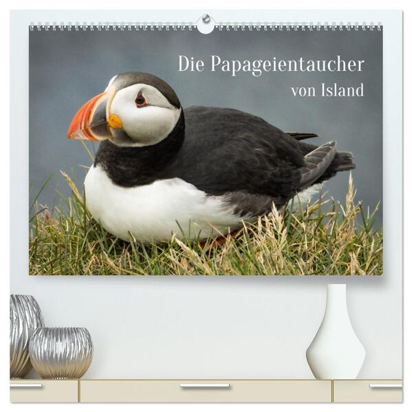 Die Papageientaucher von Island (hochwertiger Premium Wandkalender 2026 DIN A2 quer) Kunstdruck in Hochglanz