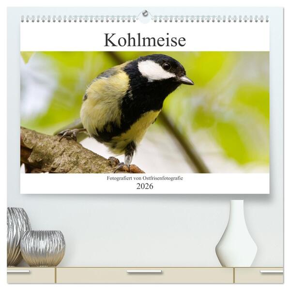 Kohlmeise - Fotografiert von Ostfriesenfotografie (hochwertiger Premium Wandkalender 2026 DIN A2 quer) Kunstdruck in Hochglanz
