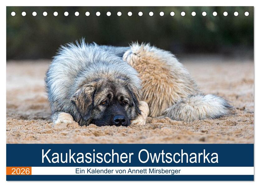 Kaukasischer Owtscharka (Tischkalender 2026 DIN A5 quer) CALVENDO Monatskalender
