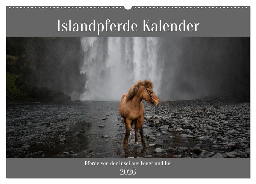 Islandpferde Kalender - Pferde von der Insel aus Feuer und Eis (Wandkalender 2026 DIN A2 quer) CALVENDO Monatskalender