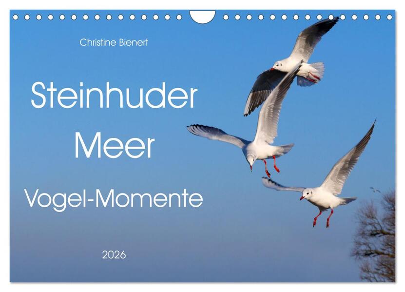 Steinhuder Meer Vogel-Momente (Wandkalender 2026 DIN A4 quer) CALVENDO Monatskalender