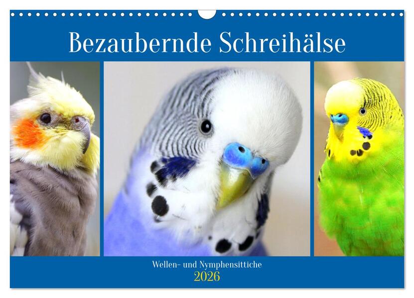 Bezaubernde Schreihälse. Wellen- und Nymphensittiche (Wandkalender 2026 DIN A3 quer) CALVENDO Monatskalender