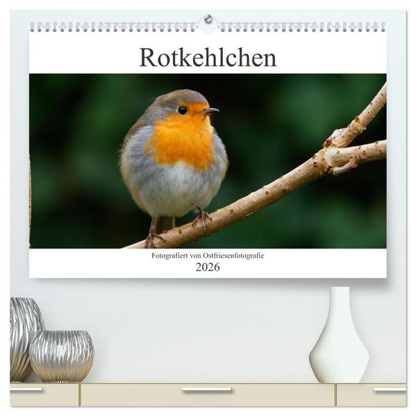 Rotkehlchen - Fotografiert von Ostfriesenfotografie (hochwertiger Premium Wandkalender 2026 DIN A2 quer) Kunstdruck in Hochglanz