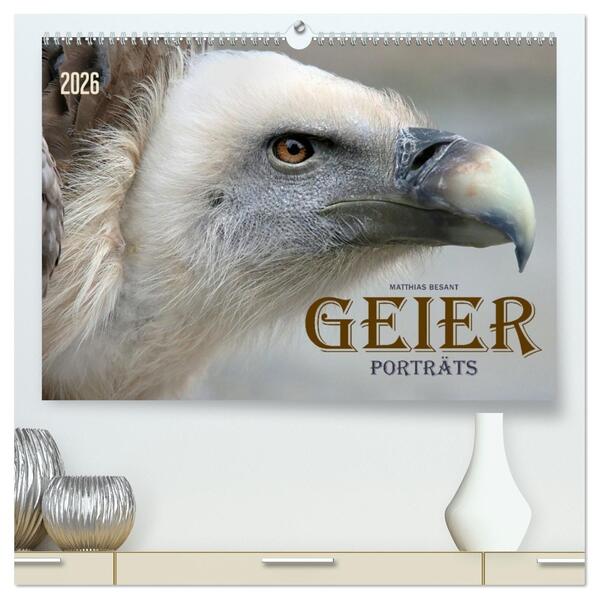 GEIERPORTRÄTS (hochwertiger Premium Wandkalender 2026 DIN A2 quer) Kunstdruck in Hochglanz