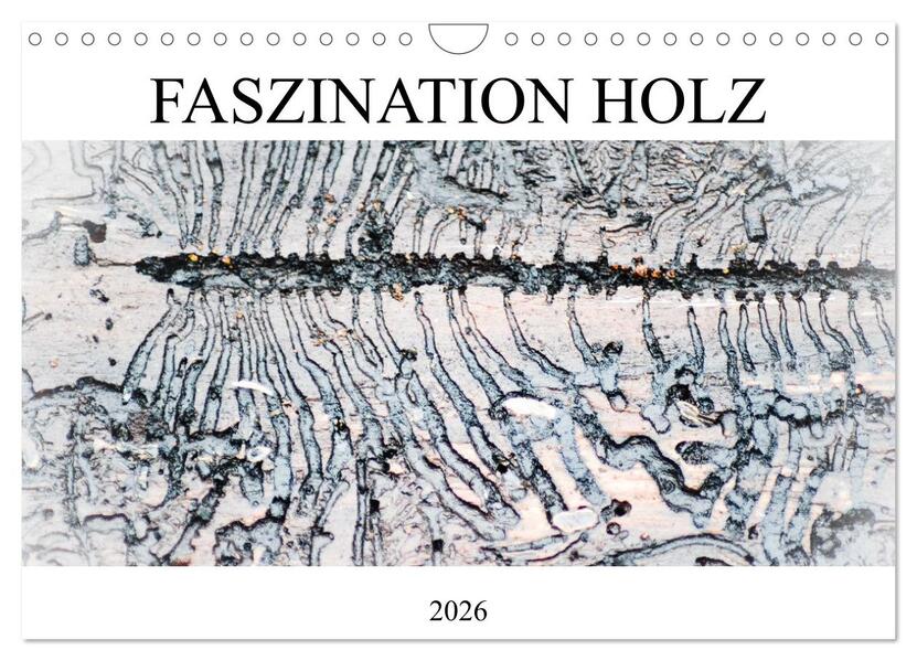 Faszination Holz (Wandkalender 2026 DIN A4 quer) CALVENDO Monatskalender