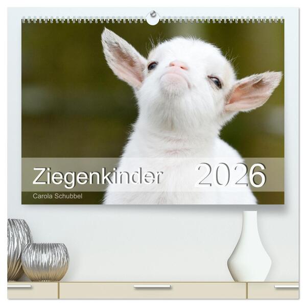 Ziegenkinder (hochwertiger Premium Wandkalender 2026 DIN A2 quer) Kunstdruck in Hochglanz