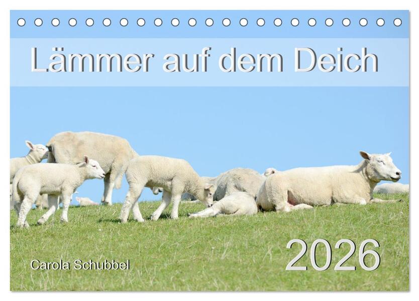 Lämmer auf dem Deich (Tischkalender 2026 DIN A5 quer) CALVENDO Monatskalender