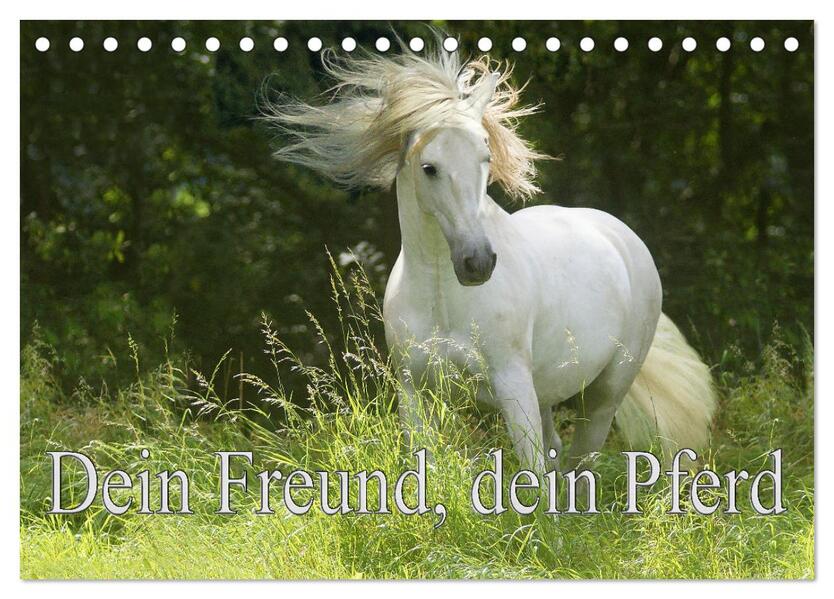 Dein Freund dein Pferd (Tischkalender 2026 DIN A5 quer) CALVENDO Monatskalender