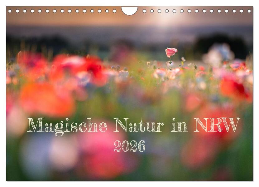 Magische Natur in NRW 2026 (Wandkalender 2026 DIN A4 quer) CALVENDO Monatskalender