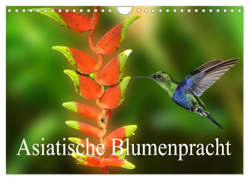 Asiatische Blumenpracht (Wandkalender 2026 DIN A4 quer) CALVENDO Monatskalender