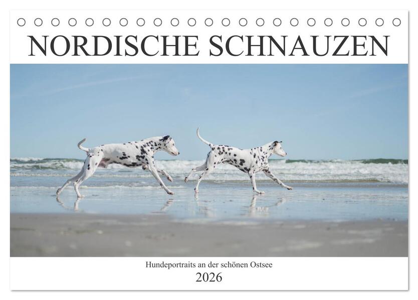 Nordische Schnauzen (Tischkalender 2026 DIN A5 quer) CALVENDO Monatskalender