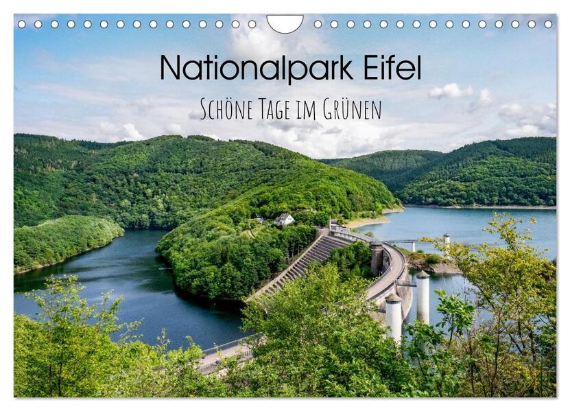 Nationalpark Eifel - Schöne Tage im Grünen (Wandkalender 2026 DIN A4 quer) CALVENDO Monatskalender