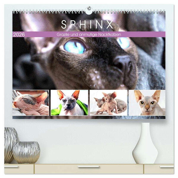 Sphinx. Grazile und anmutige Nacktkatzen (hochwertiger Premium Wandkalender 2026 DIN A2 quer) Kunstdruck in Hochglanz