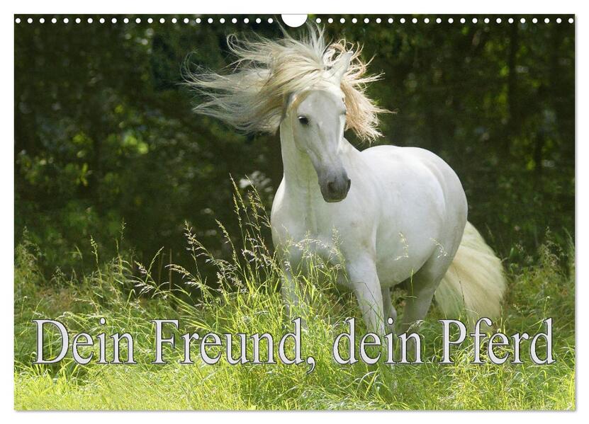 Dein Freund dein Pferd (Wandkalender 2026 DIN A3 quer) CALVENDO Monatskalender
