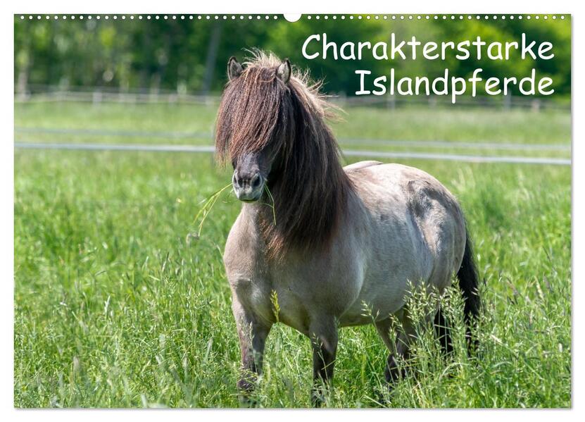 Charakterstarke Islandpferde (Wandkalender 2026 DIN A2 quer) CALVENDO Monatskalender