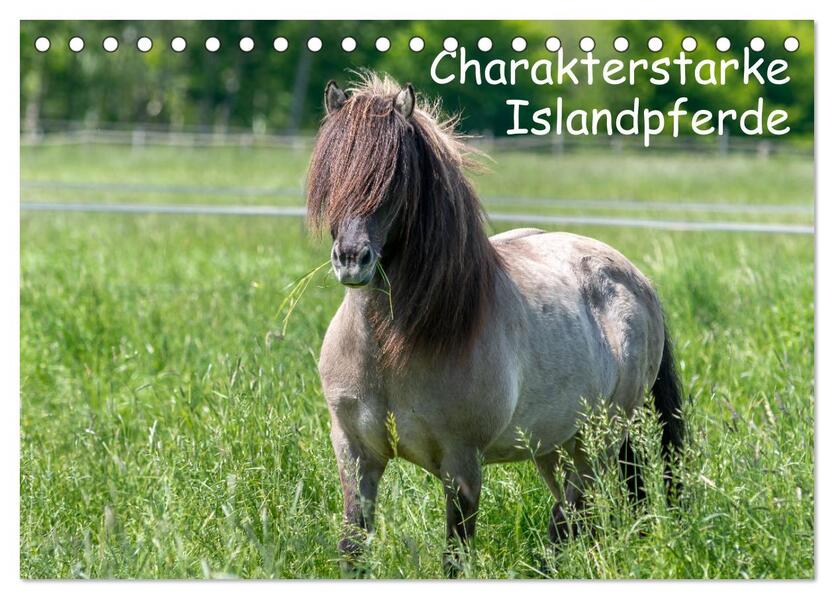 Charakterstarke Islandpferde (Tischkalender 2026 DIN A5 quer) CALVENDO Monatskalender