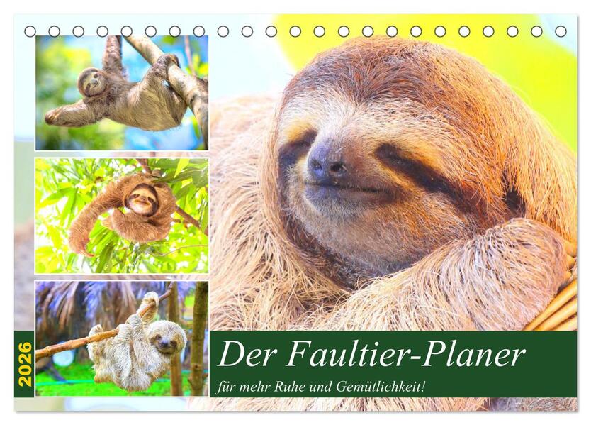 Der Faultier-Planer für mehr Ruhe und Gemütlichkeit! (Tischkalender 2026 DIN A5 quer) CALVENDO Monatskalender