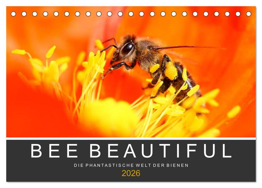 Bee Beautiful - Die phantastische Welt der Bienen (Tischkalender 2026 DIN A5 quer) CALVENDO Monatskalender