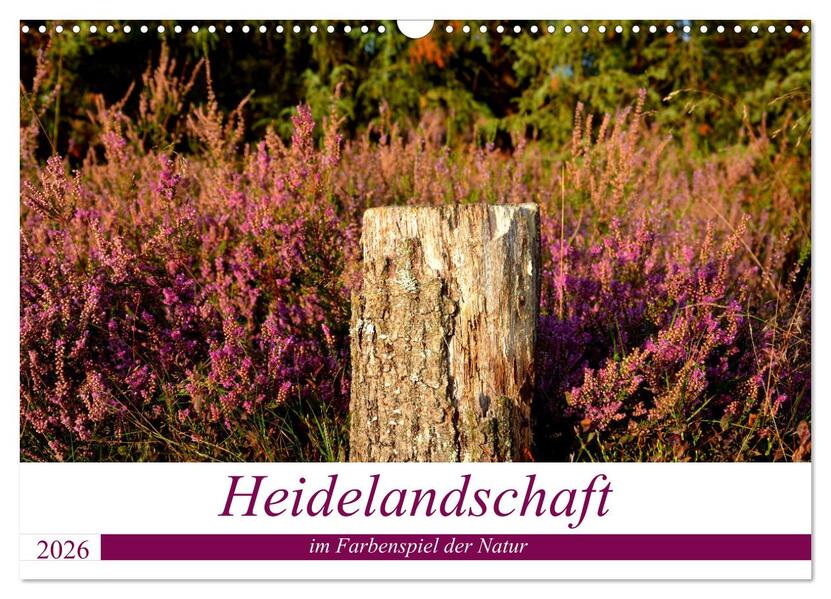 Heidelandschaft im Farbenspiel der Natur (Wandkalender 2026 DIN A3 quer) CALVENDO Monatskalender