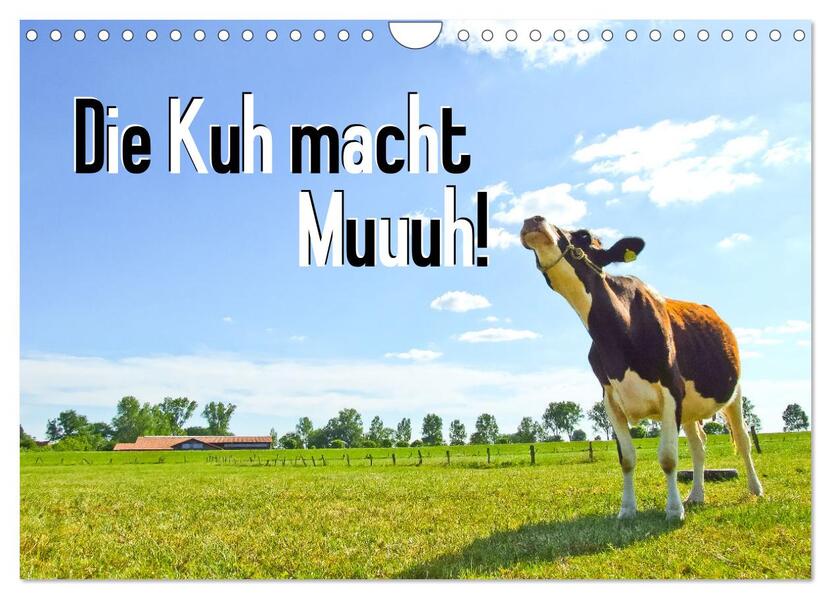Die Kuh macht Muuuh! (Wandkalender 2026 DIN A4 quer) CALVENDO Monatskalender