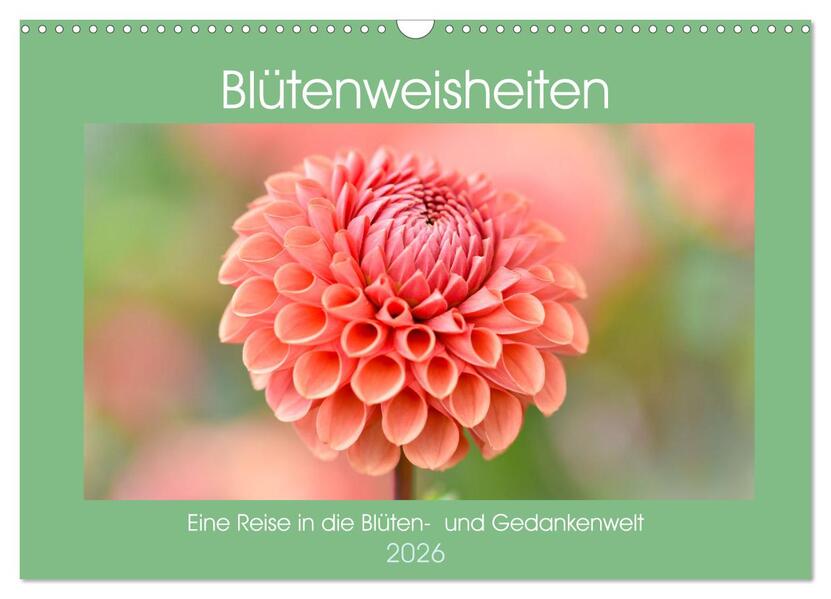 Blütenweisheiten (Wandkalender 2026 DIN A3 quer) CALVENDO Monatskalender