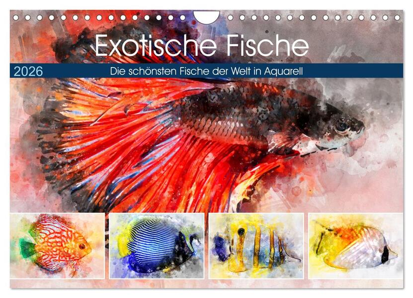 Exotische Fische - Die schönsten Fische der Welt in Aquarell (Wandkalender 2026 DIN A4 quer) CALVENDO Monatskalender