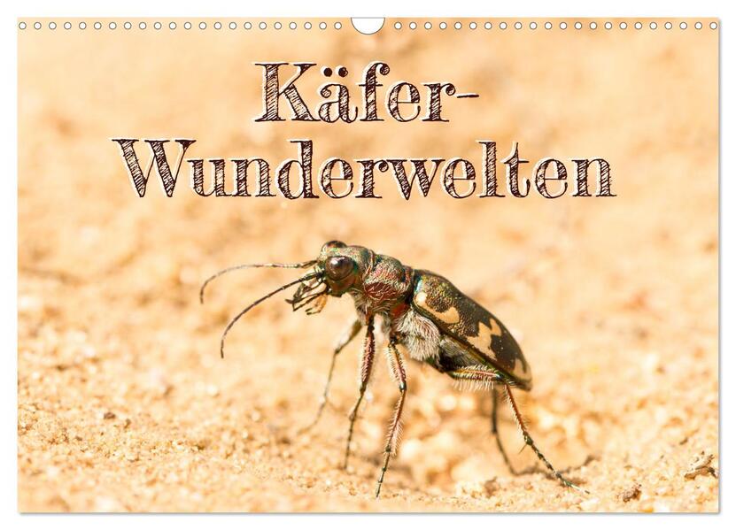 Käfer-Wunderwelten (Wandkalender 2026 DIN A3 quer) CALVENDO Monatskalender