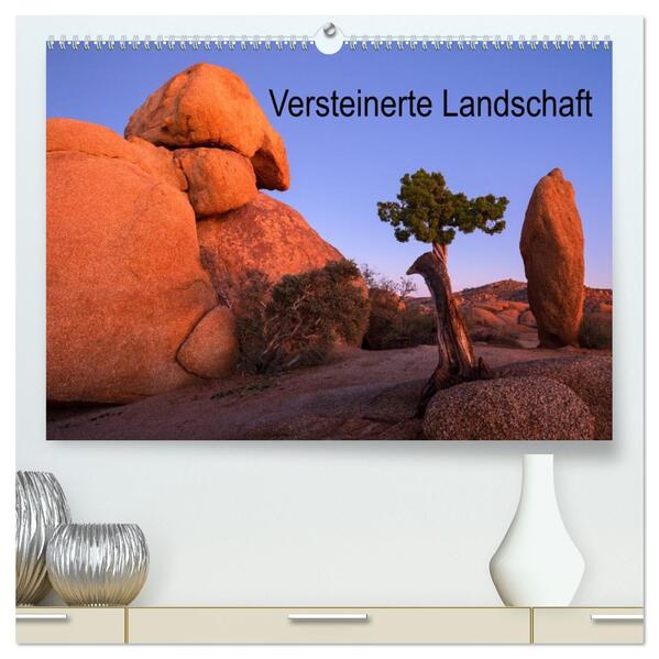 Versteinerte Landschaft (hochwertiger Premium Wandkalender 2026 DIN A2 quer) Kunstdruck in Hochglanz
