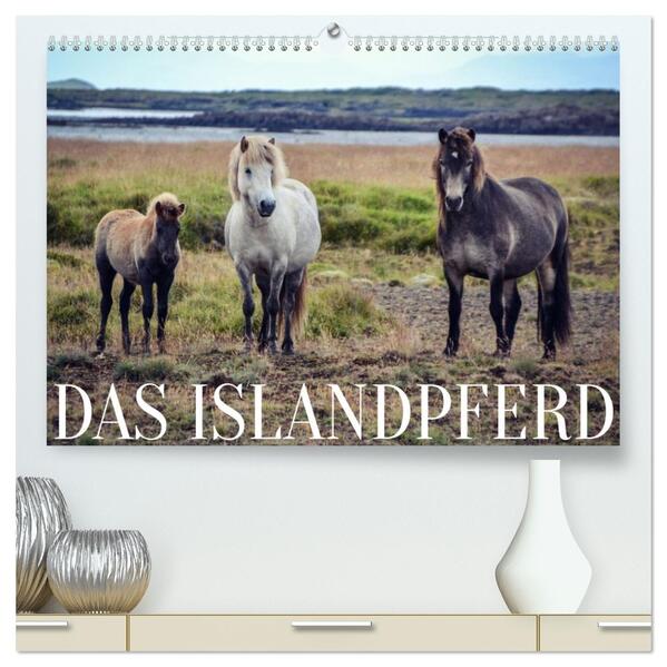 Das Islandpferd (hochwertiger Premium Wandkalender 2026 DIN A2 quer) Kunstdruck in Hochglanz