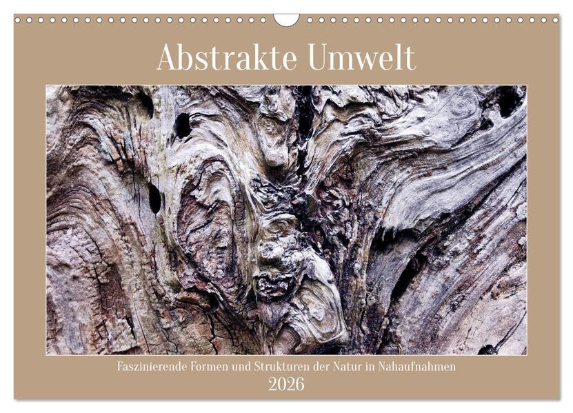 Abstrakte Umwelt (Wandkalender 2026 DIN A3 quer) CALVENDO Monatskalender