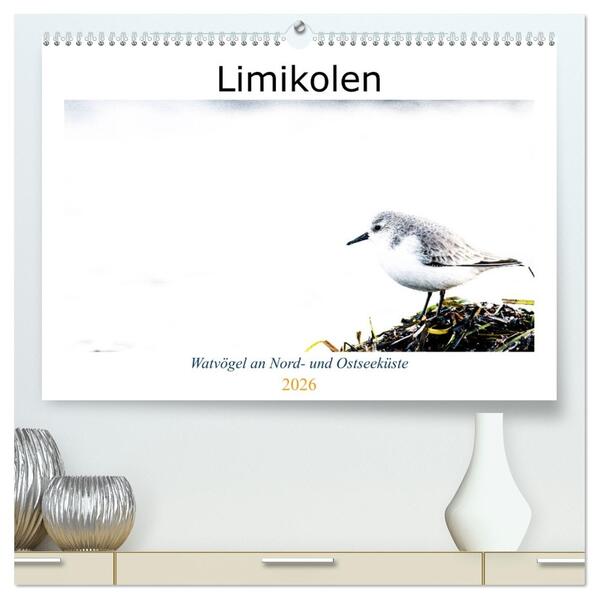 Limikolen - Watvögel an Nord- und Ostseeküste (hochwertiger Premium Wandkalender 2026 DIN A2 quer) Kunstdruck in Hochglanz