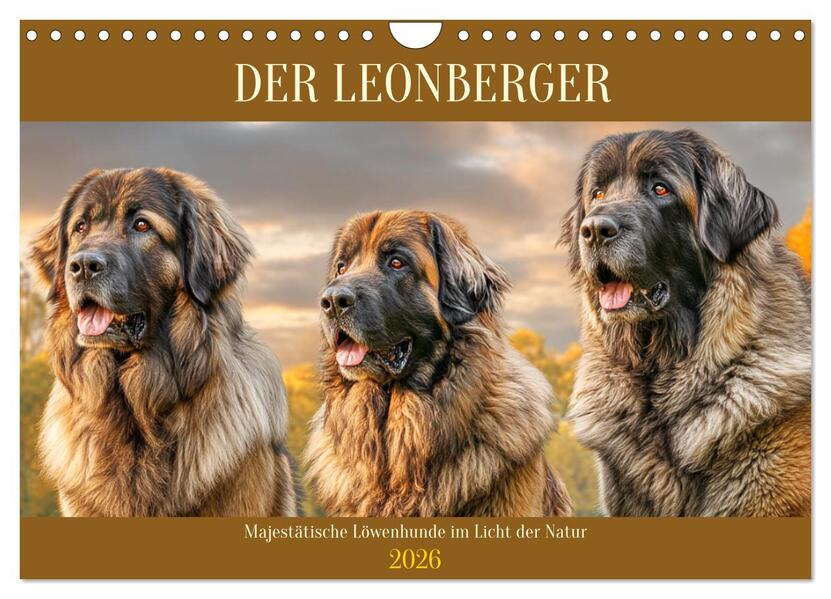 Der Leonberger. Majestätische Löwenhunde im Licht der Natur (Wandkalender 2026 DIN A4 quer) CALVENDO Monatskalender