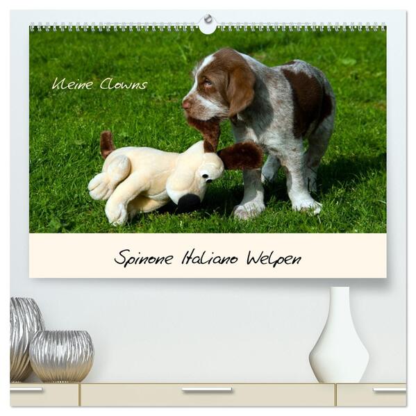 Spinone Italiano Welpen - Kleine Clowns (hochwertiger Premium Wandkalender 2026 DIN A2 quer) Kunstdruck in Hochglanz